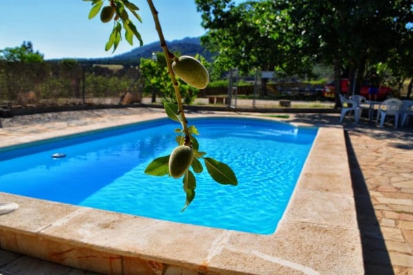 Casas Rurales Luis piscina olivo