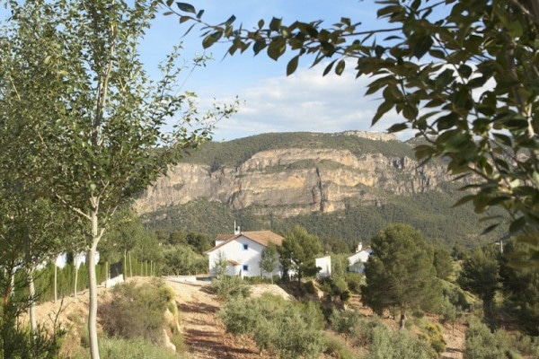 Casas Rurales El Olivar naturaleza